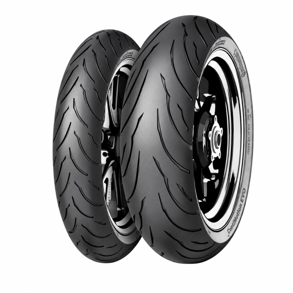 Contimotion evo mp rengas